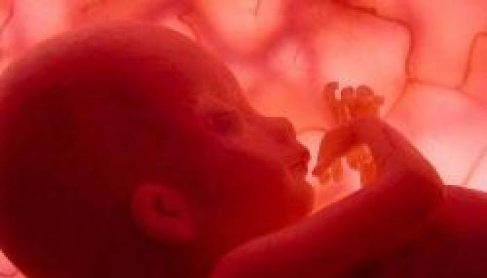 Seitsemäs raskauskuukausi: sikiön kehitys, tutkimukset ja muut ominaisuudet